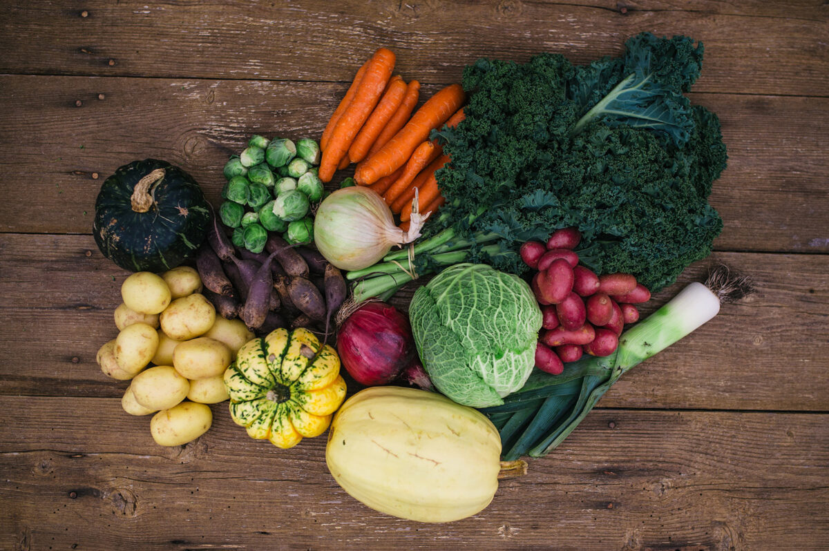 Example of a Riverbend Gardens CSA bounty