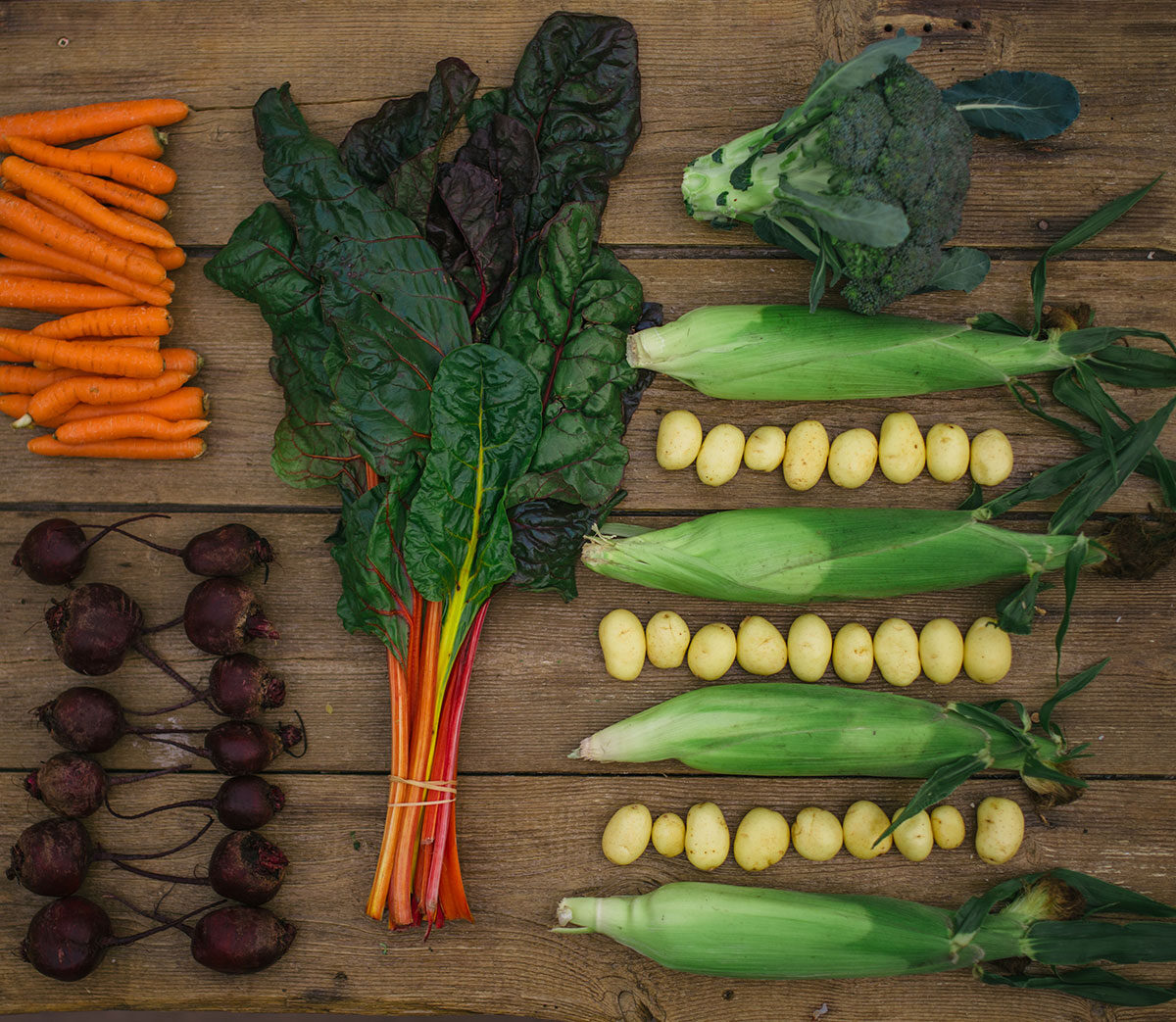 Riverbend Gardens CSA - Bounty